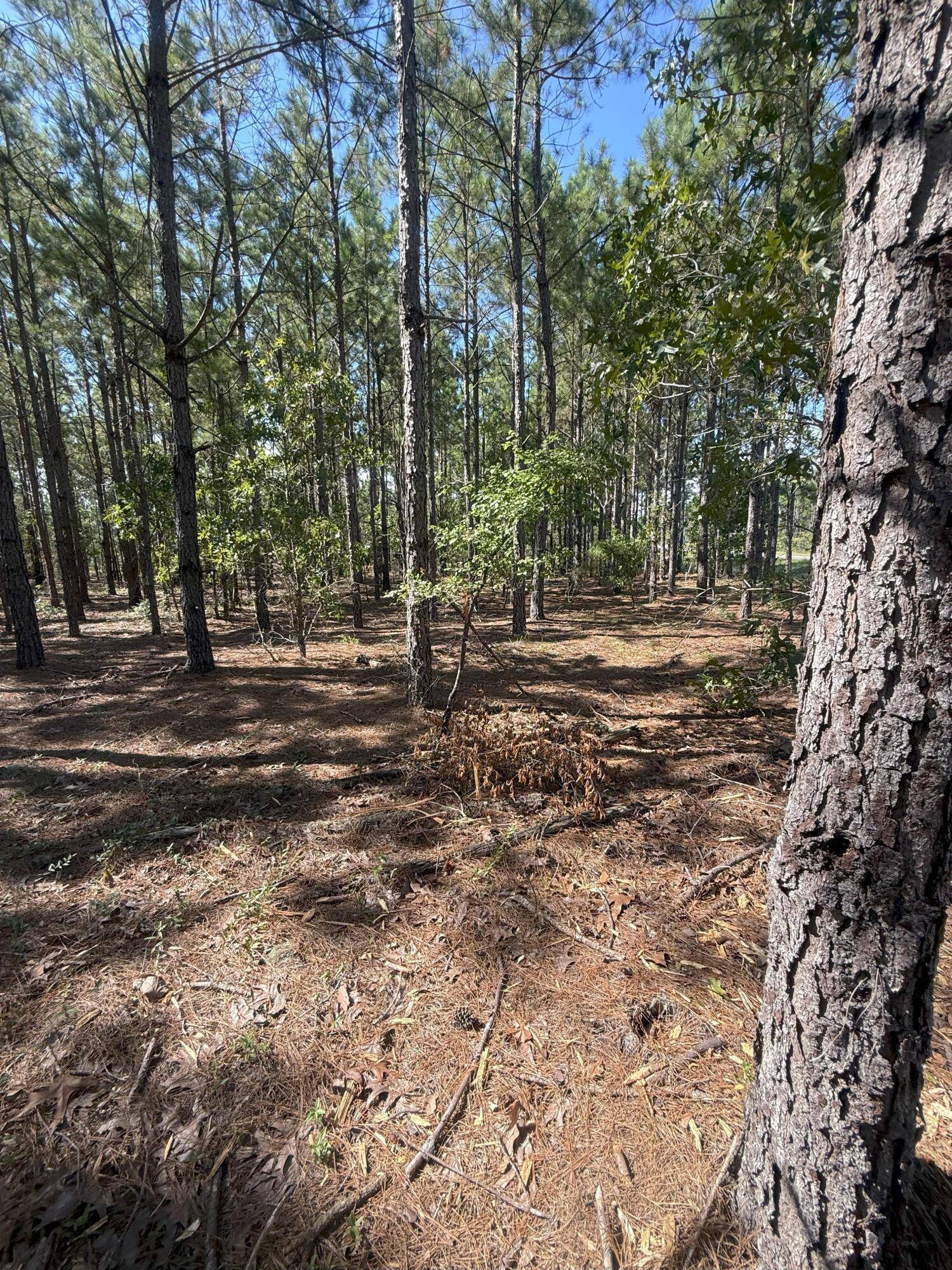 Kershaw, SC 29067,9 Providence Road #Kf 9