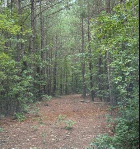 Ninety Six, SC 29666,1 Old Edgefield Road