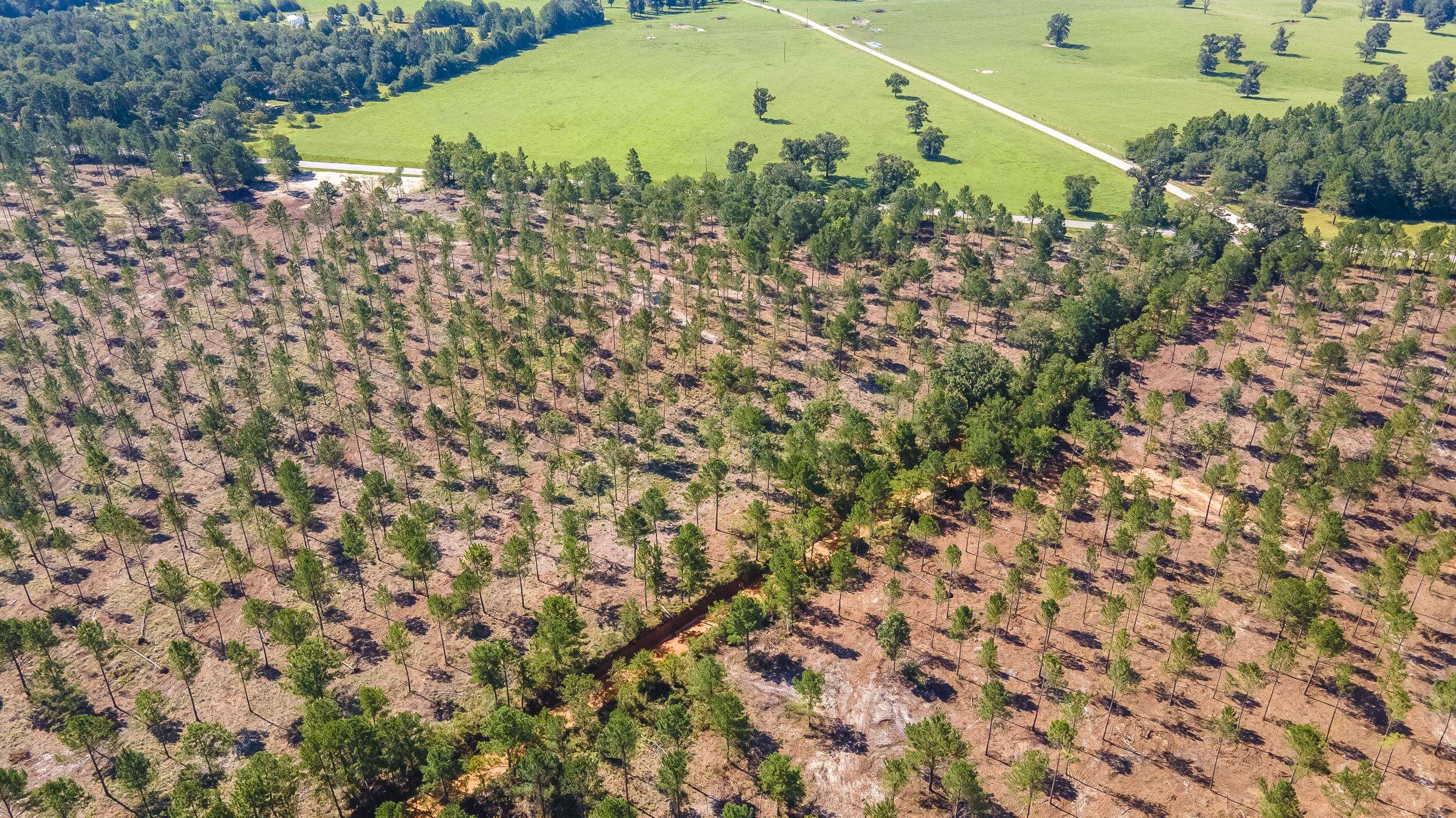 Wagener, SC 29164,10 Shadow Lane / Camp Rawls Rd