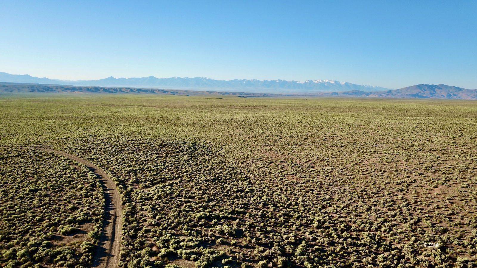 Ryndon, NV 89801,6100 Maple AVE