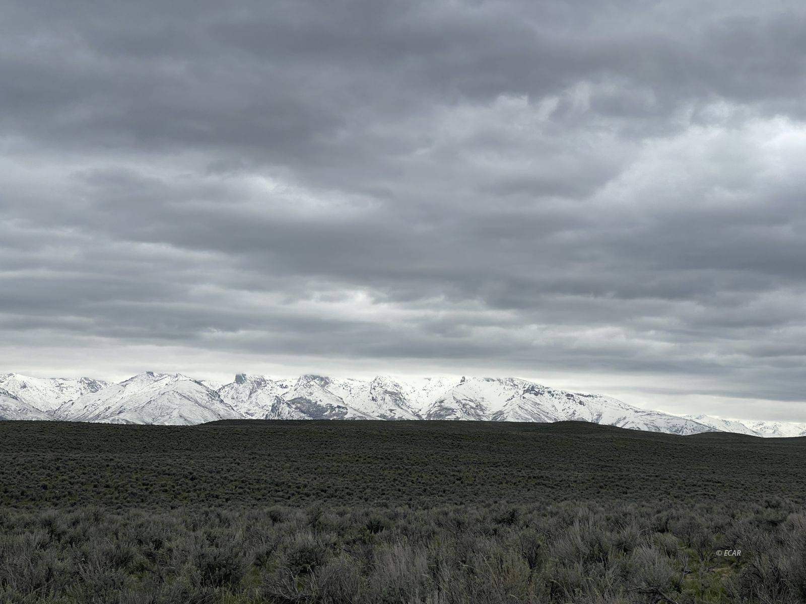 Spring Creek, NV 89815,1 Acre Topaz AVE