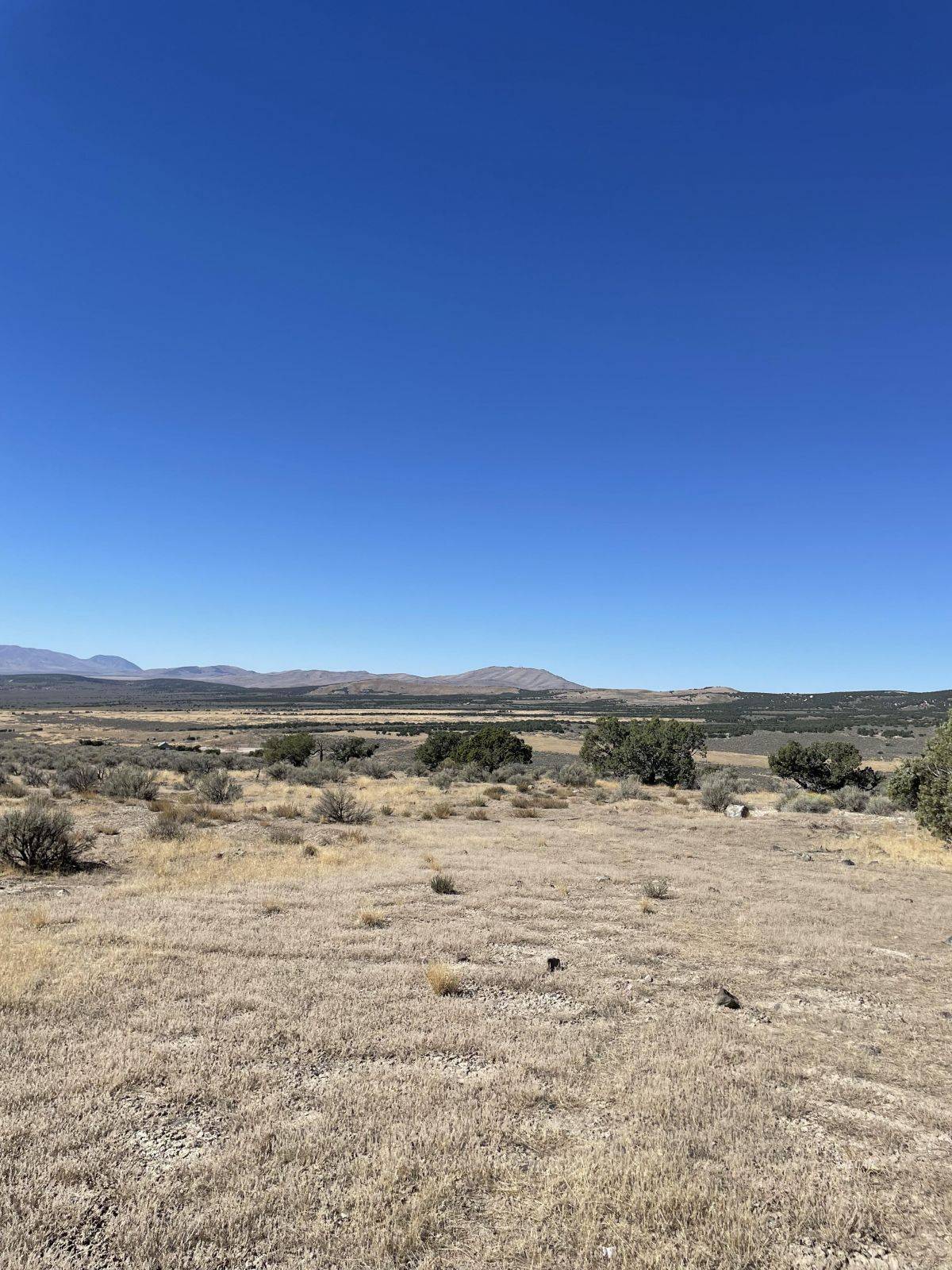Spring Creek, NV 89815,TBD Emigrant CT