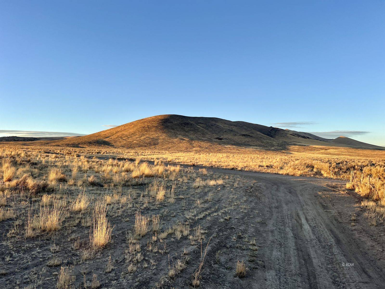 Spring Creek, NV 89815,Opal AVE
