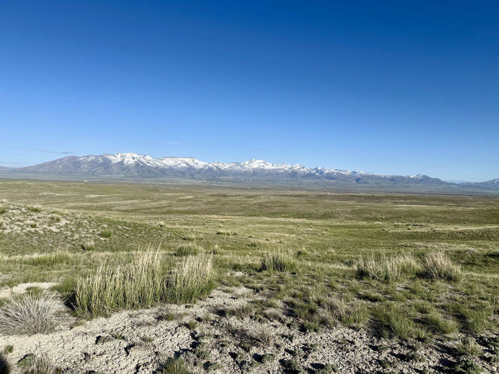 Deeth, NV 89801,40 acre Off CHarleston-Deeth RD