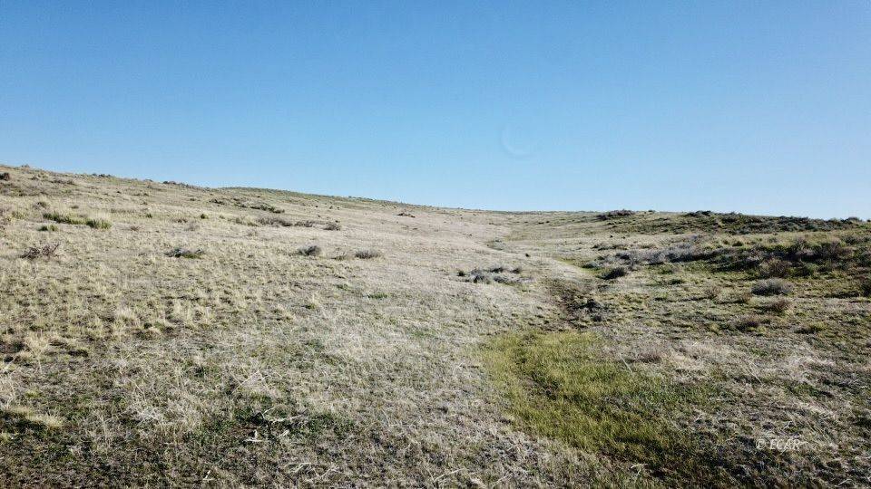 Deeth, NV 89801,40 acre Off CHarleston-Deeth RD