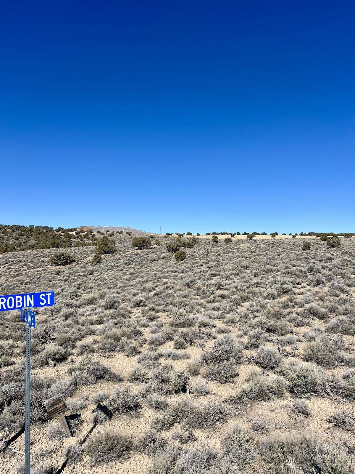 Spring Creek, NV 89815,Lee AVE