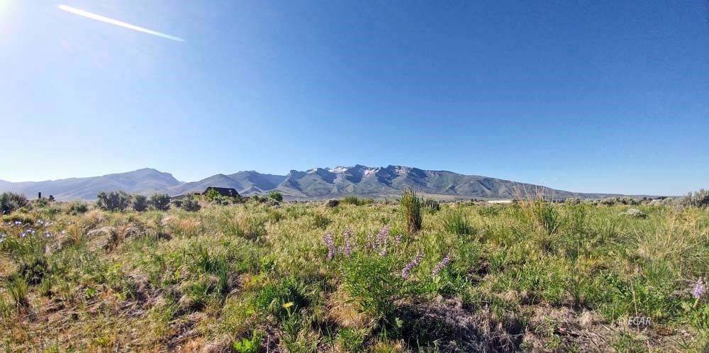 Spring Creek, NV 89815,787 Clover DR