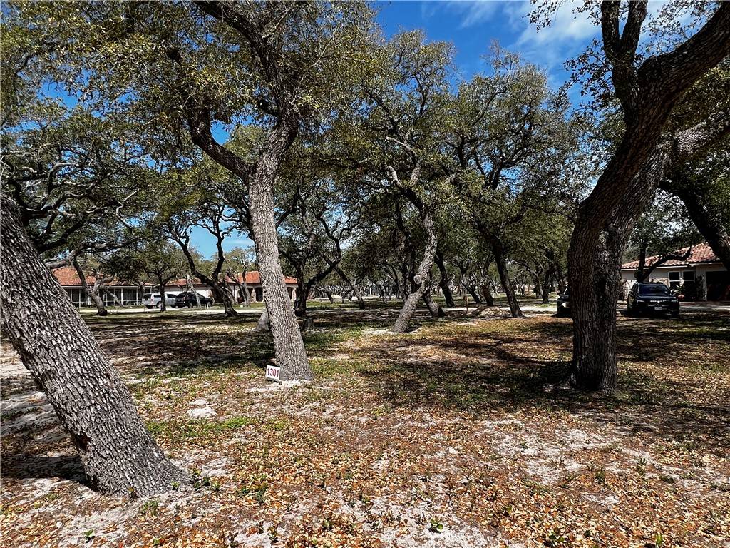 Fulton, TX 78358,1301-B Royal Oaks TRL