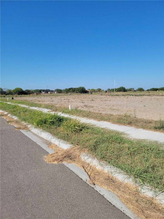 Corpus Christi, TX 78410,3518 Sepehr Lake DR