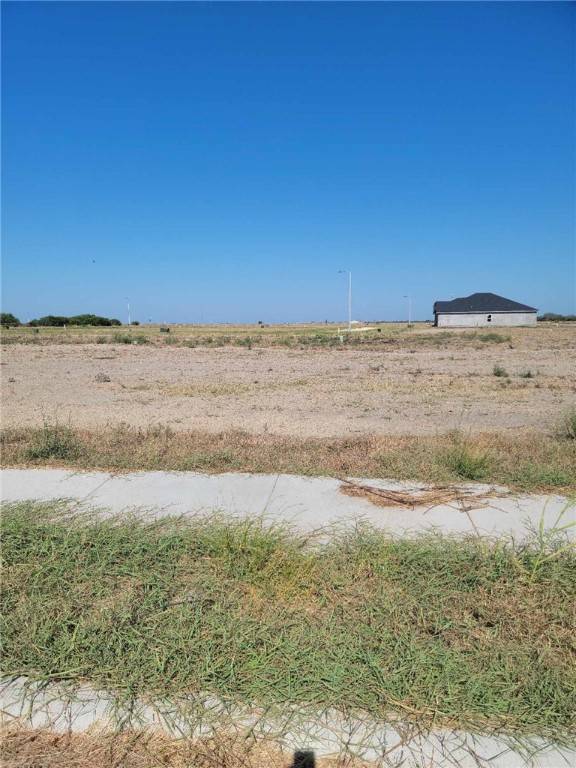 Corpus Christi, TX 78410,3510 Sepehr Lake DR