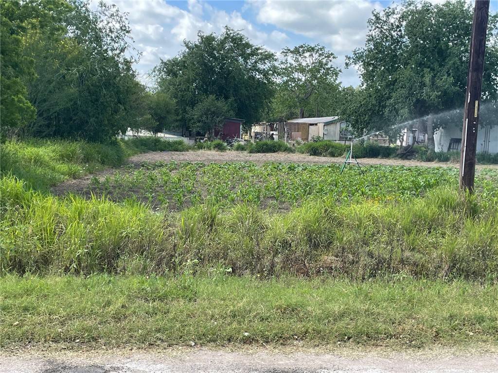 Riviera, TX 78379,N/A N 3rd ST