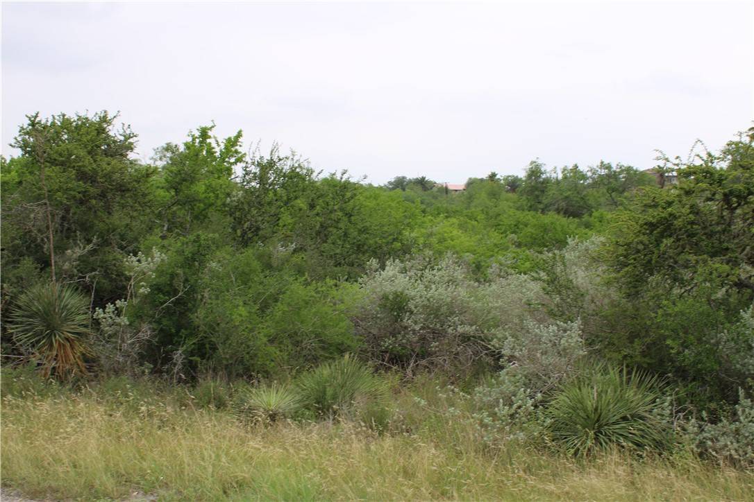 Sandia, TX 78383,00 Carmel Dr