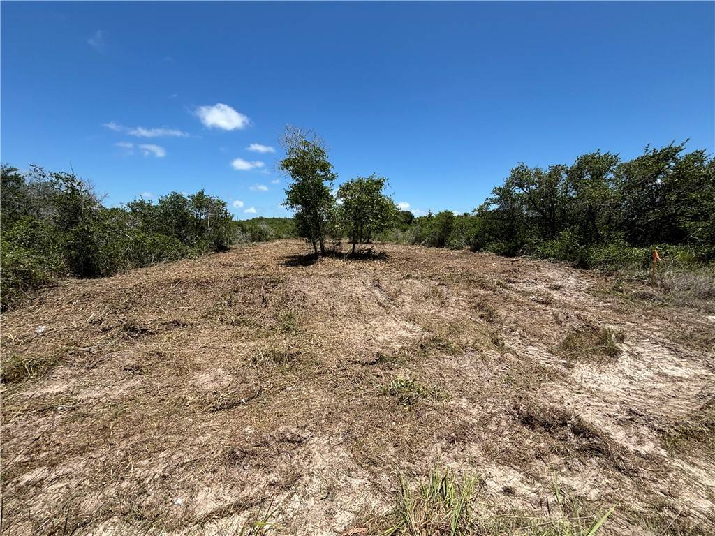 Aransas Pass, TX 78336,0 S 13th ST
