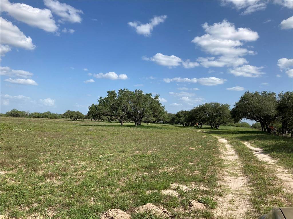 Falfurrias, TX 78355,3993 CR 110 off of FM 3066