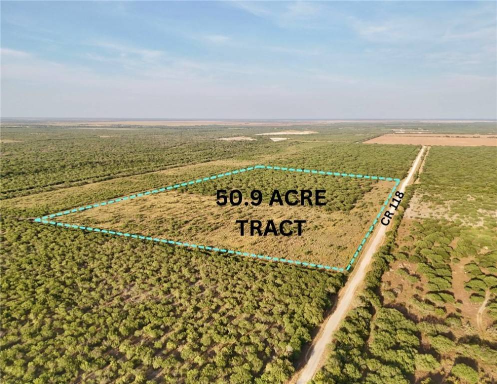 Alice, TX 78332,CR 119