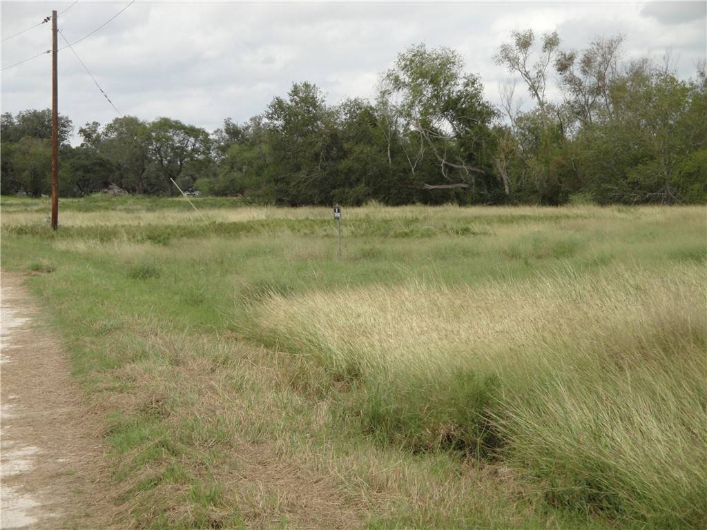 Dinero, TX 78383,TBD Vogelsang Lane