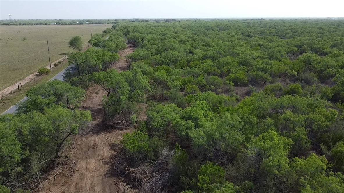 Falfurrias, TX 78355,231 County Road