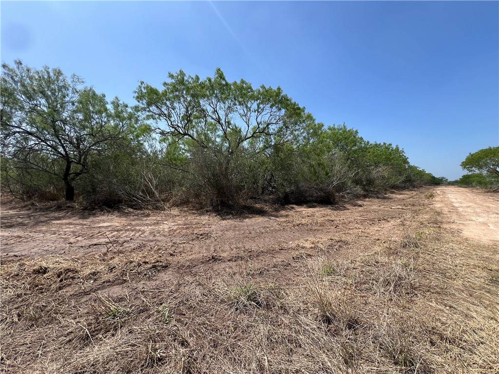 Falfurrias, TX 78355,231 County Road