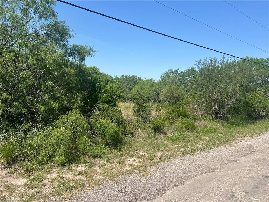 Kingsville, TX 78363,0 W County Road 2180