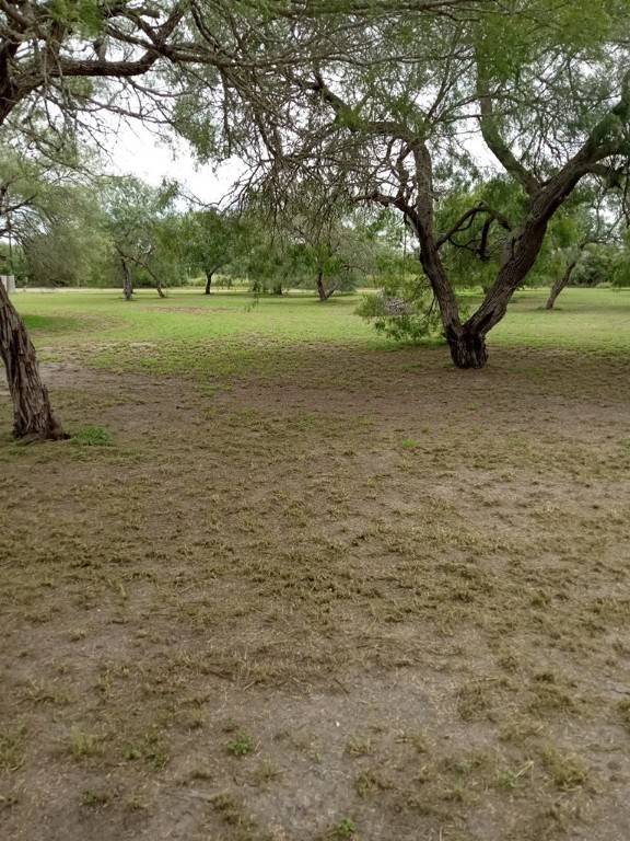 Riviera, TX 78379,000 E FM 628 Lot 1