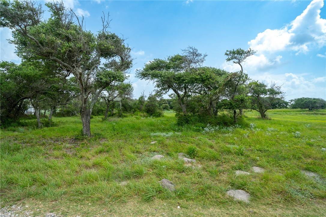 Aransas Pass, TX 78336,140 Vanderworth LN