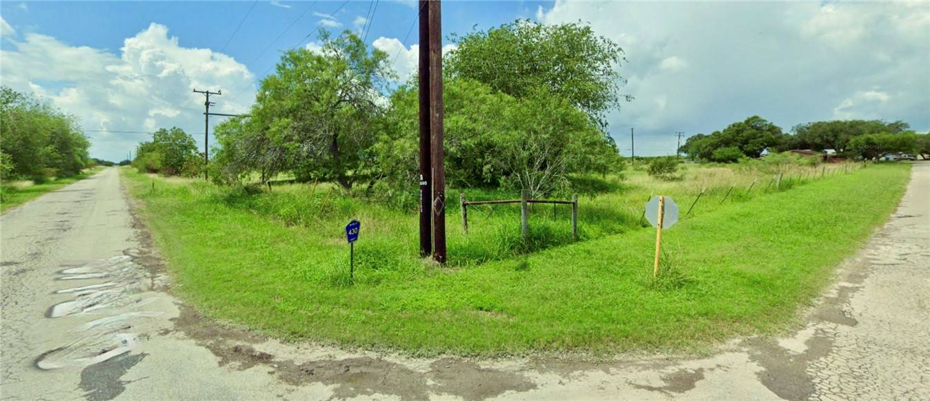 Premont, TX 78375,LTS 9 & 24 S Cr 430