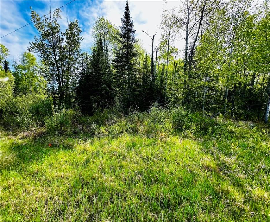 Winter, WI 54896,6874 N County Road B