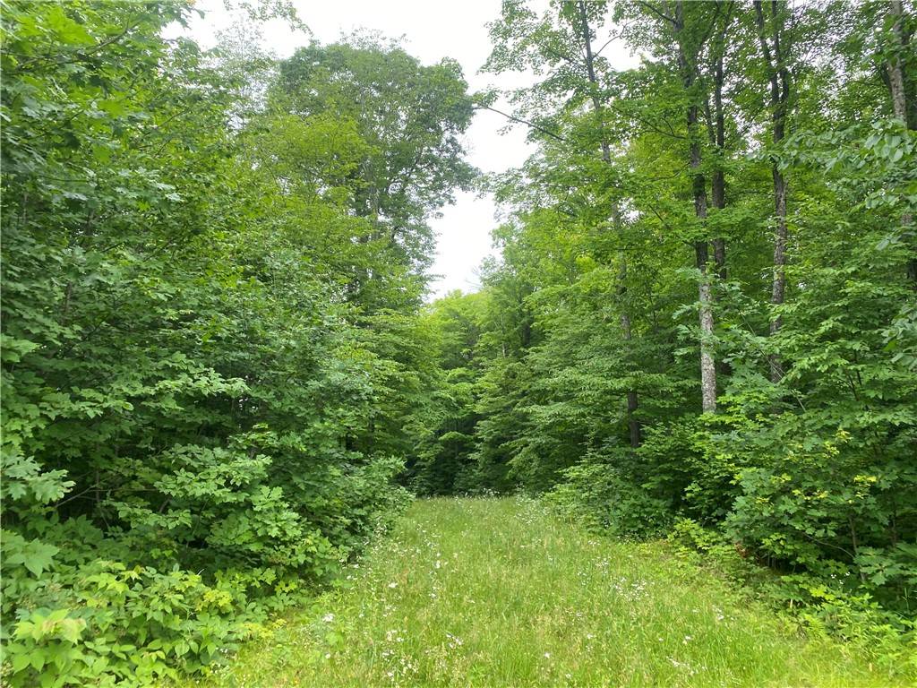Butternut, WI 54514,Near West RD