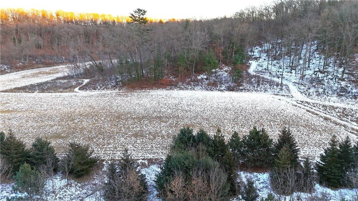 Warrens, WI 54666,15+/- Acres Blueberry RD