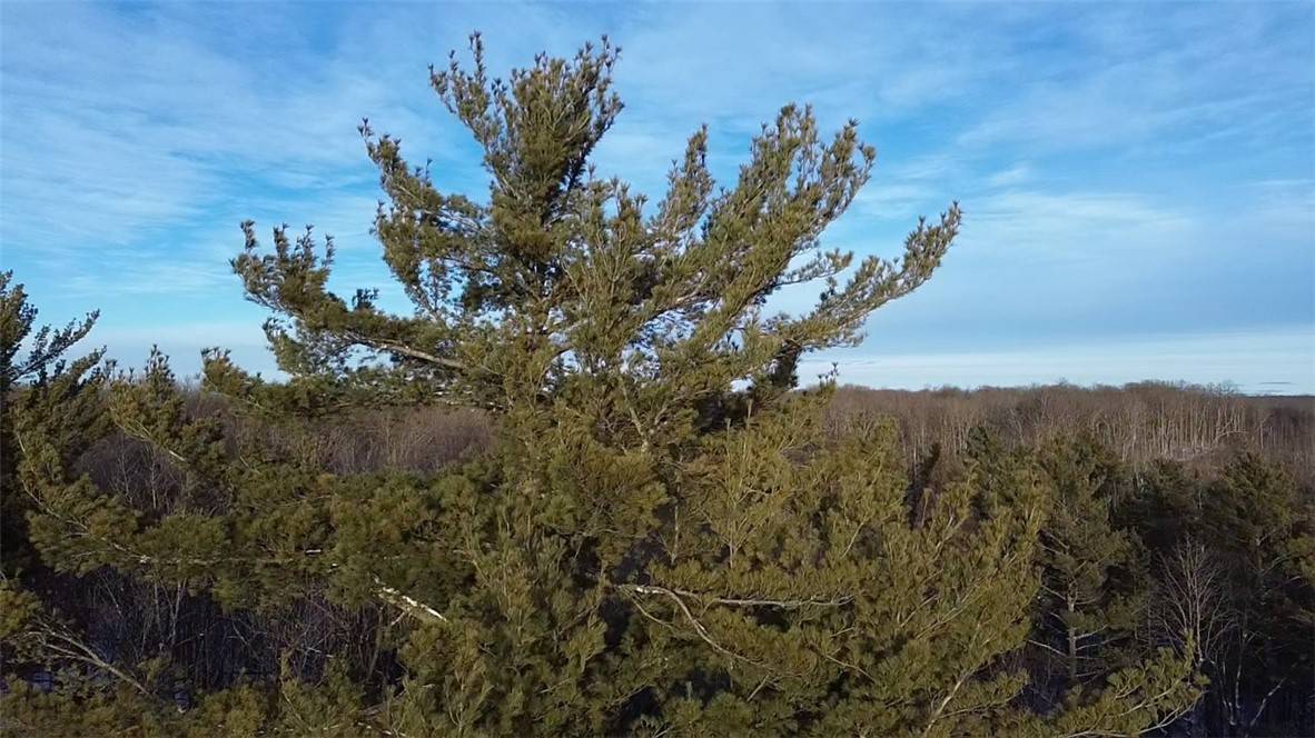 Winter, WI 54896,5926 Cr-W