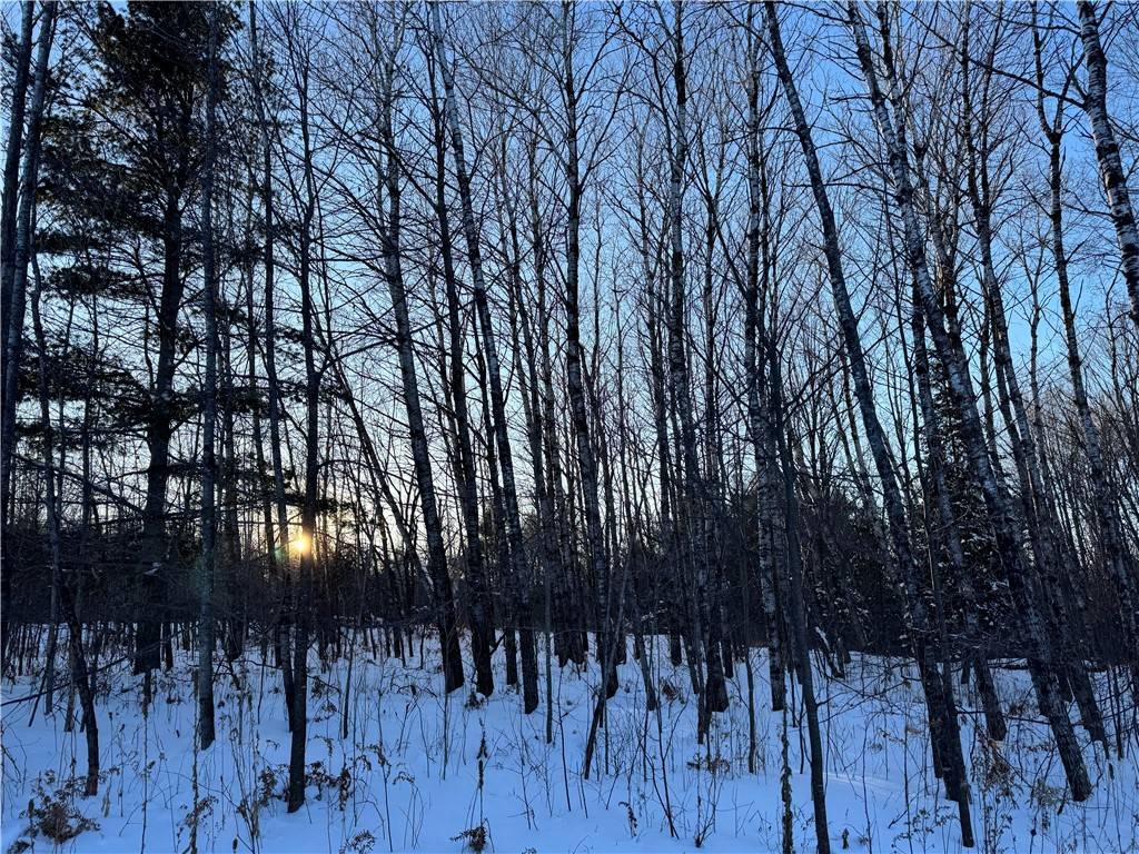 Cornell, WI 54732,Off 220th ST