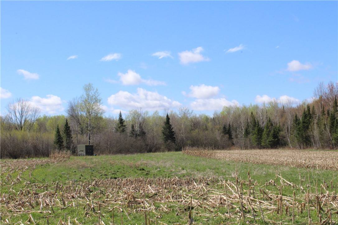 Ogema, WI 54459,0 County Rd. M - 142 acres