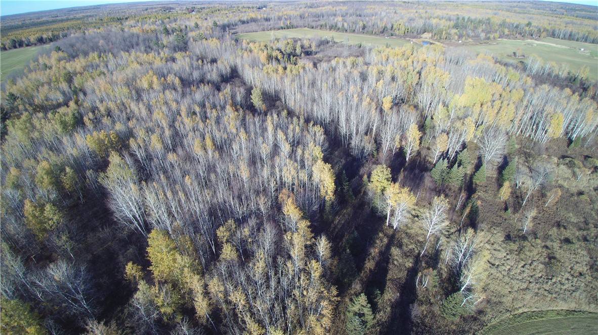 Ogema, WI 54459,0 County Rd. M - 142 acres