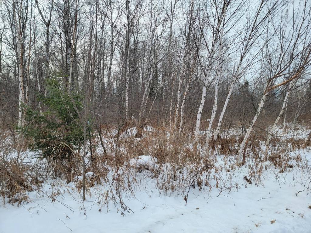 Exeland, WI 54835,5 Acres off Weirgor RD