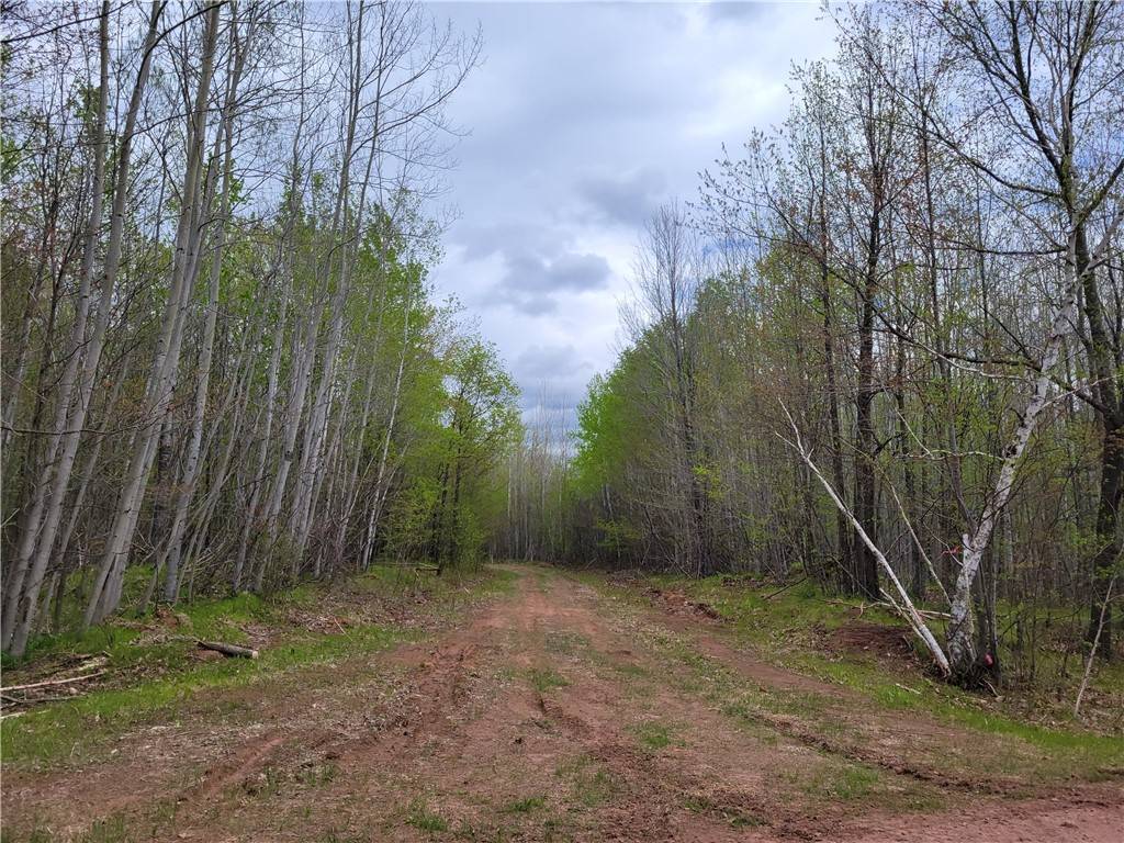 Mellen, WI 54546,ON Pufal RD