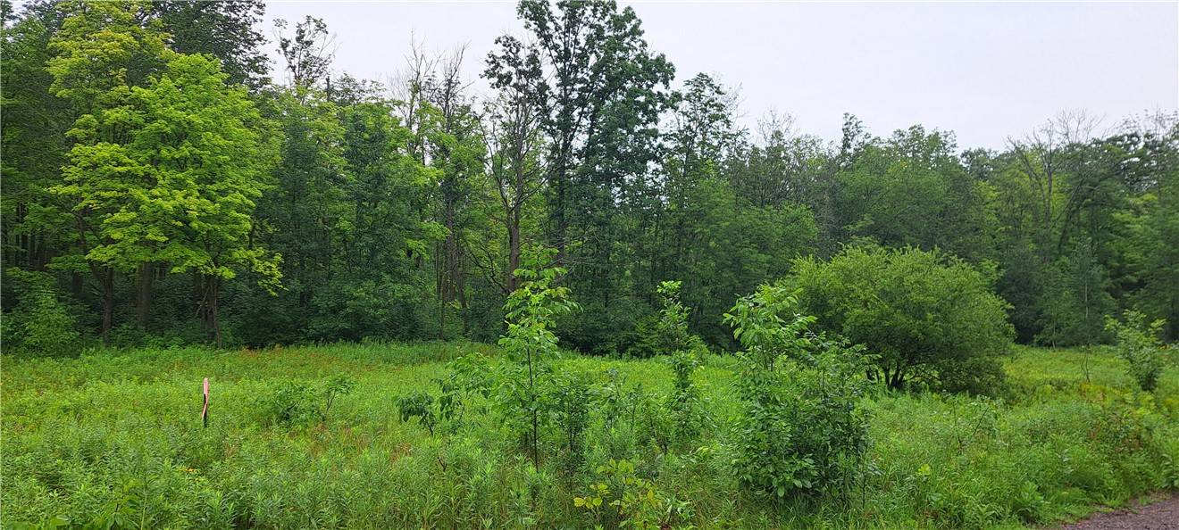 Stone Lake, WI 54876,Lot 4 Musky Point DR