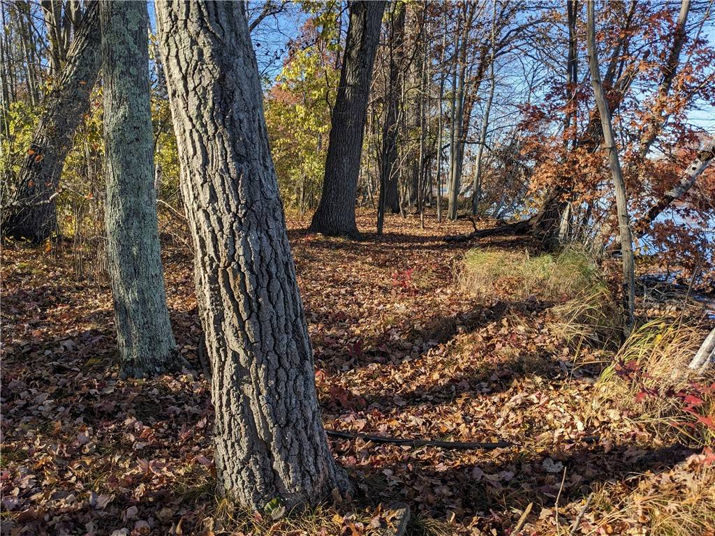 Rice Lake, WI 54868,Lot 0 Thomas AVE