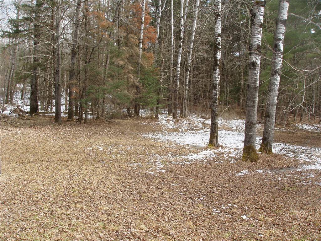 Fifield, WI 54524,16 Acres On W Central AVE