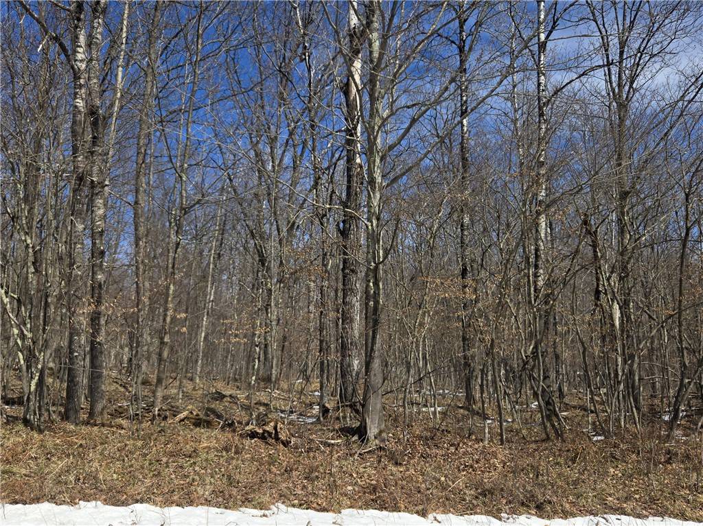 Cable, WI 54821,Lots 75-77 Woodcrest DR