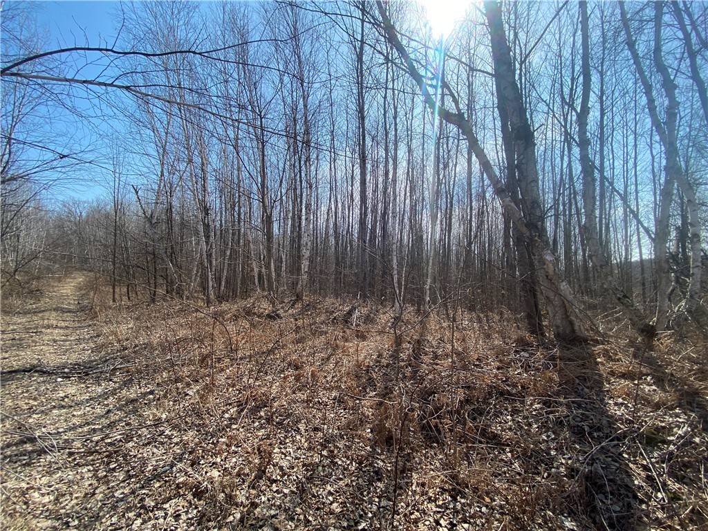 Phillips, WI 54555,ON Up River RD