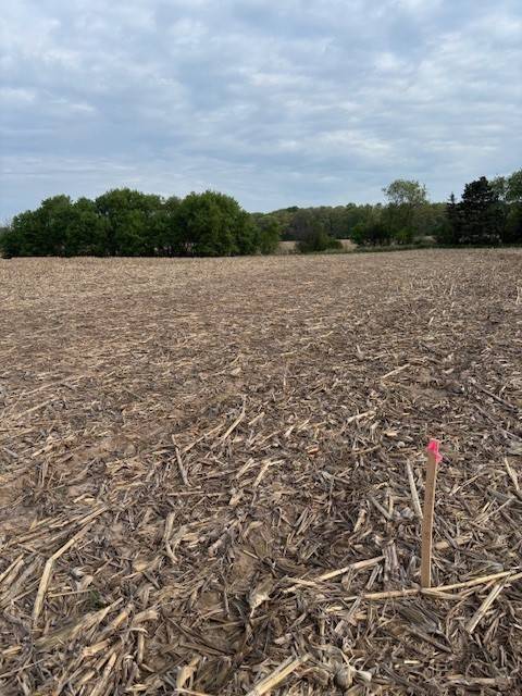 Eau Claire, WI 54701,Lot 11 Roma ST