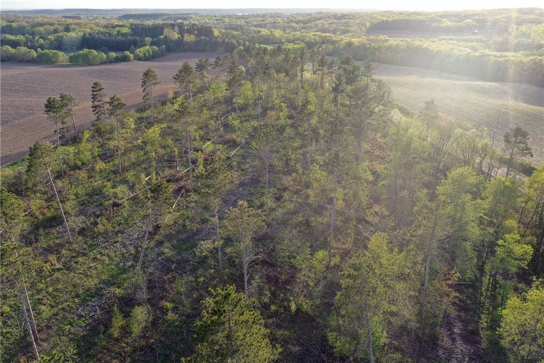 Star Prairie, WI 54026,TBD State Hwy 65 - Lot 1