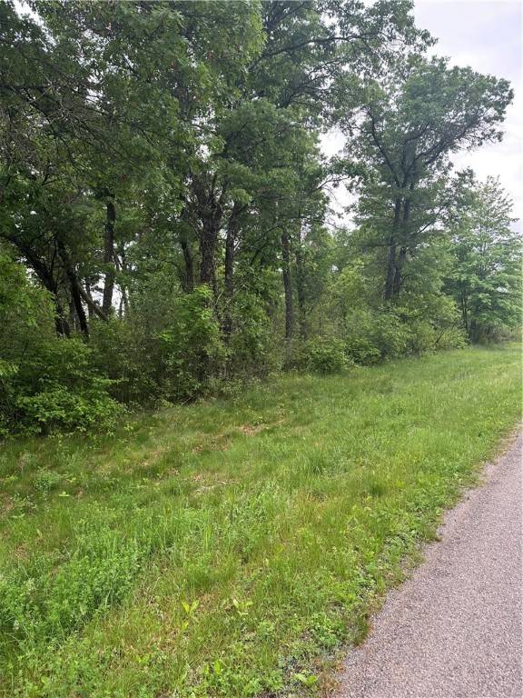 Black River Falls, WI 54615,0 Levis Creek Road