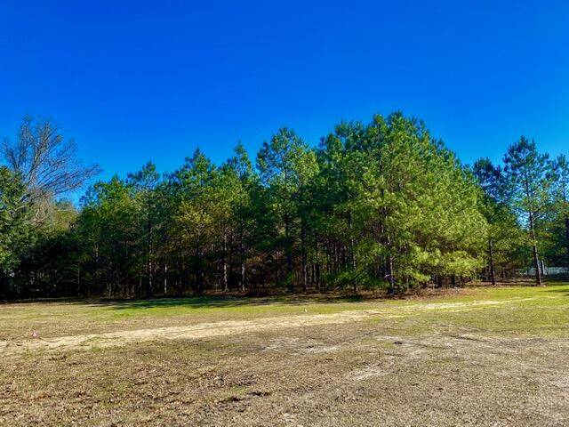 Walterboro, SC 29488,1908 Jefferies HWY