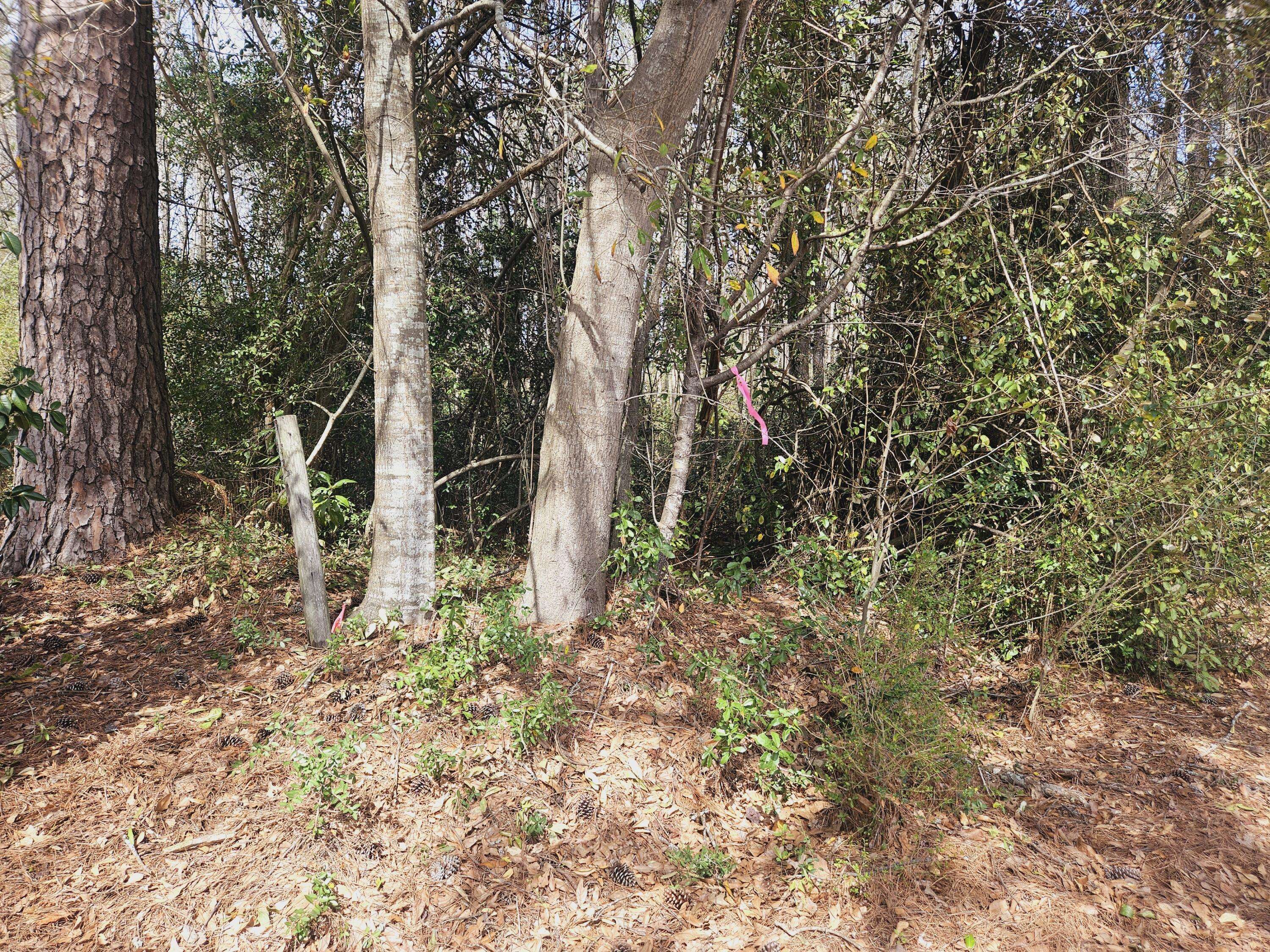 Summerville, SC 29483,0 N Hickory ST