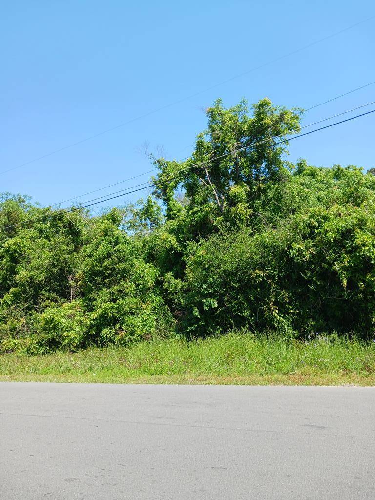 Bamberg, SC 29003,W Railroad AVE