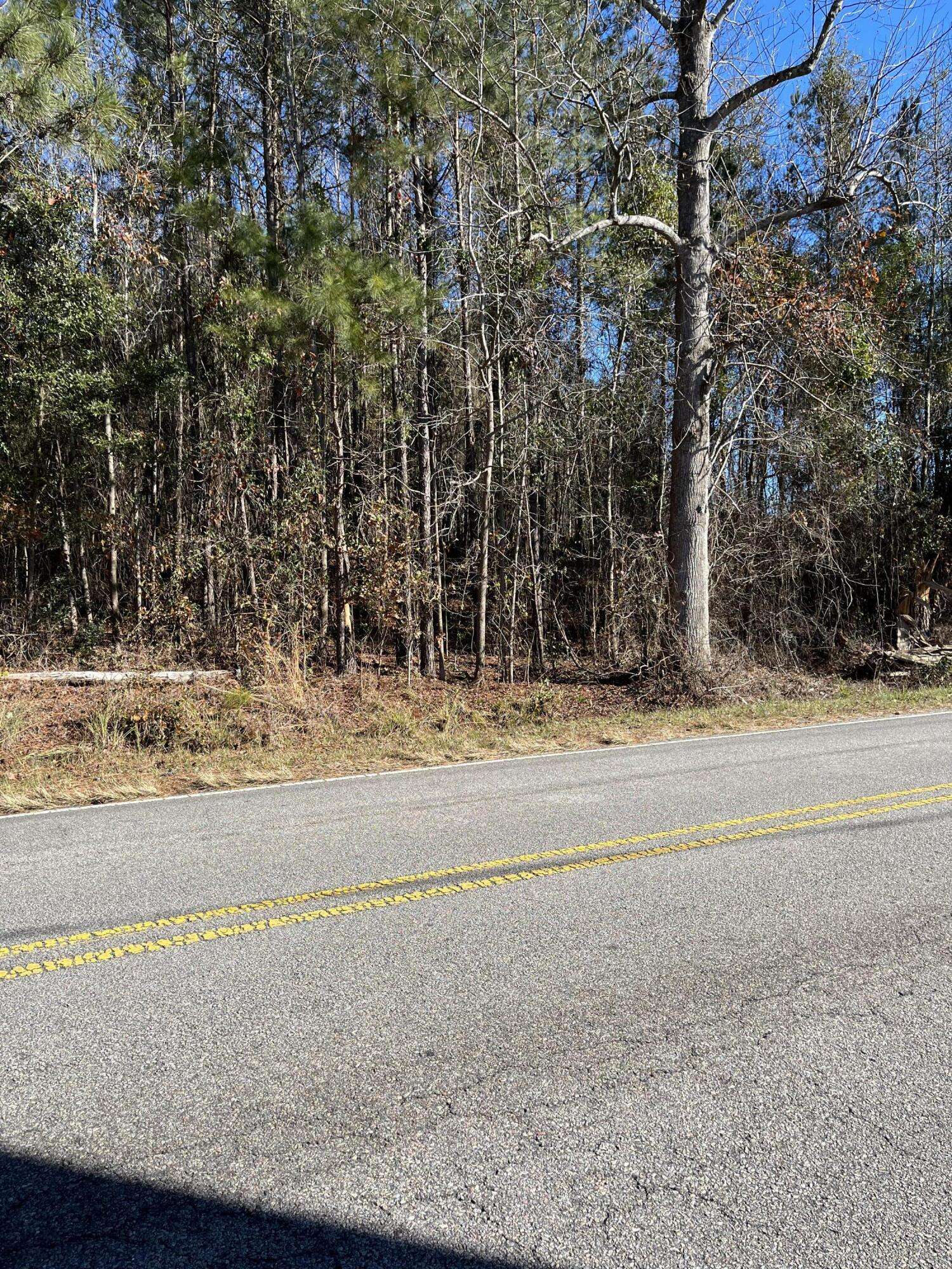 Orangeburg, SC 29118,Ridgewood DR