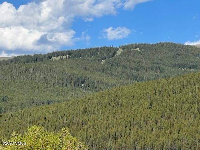 Leadville, CO 80461,40 County Road 19