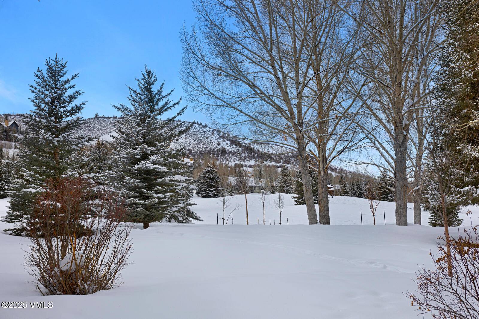 Beaver Creek, CO 81620,173 N Fairway DR