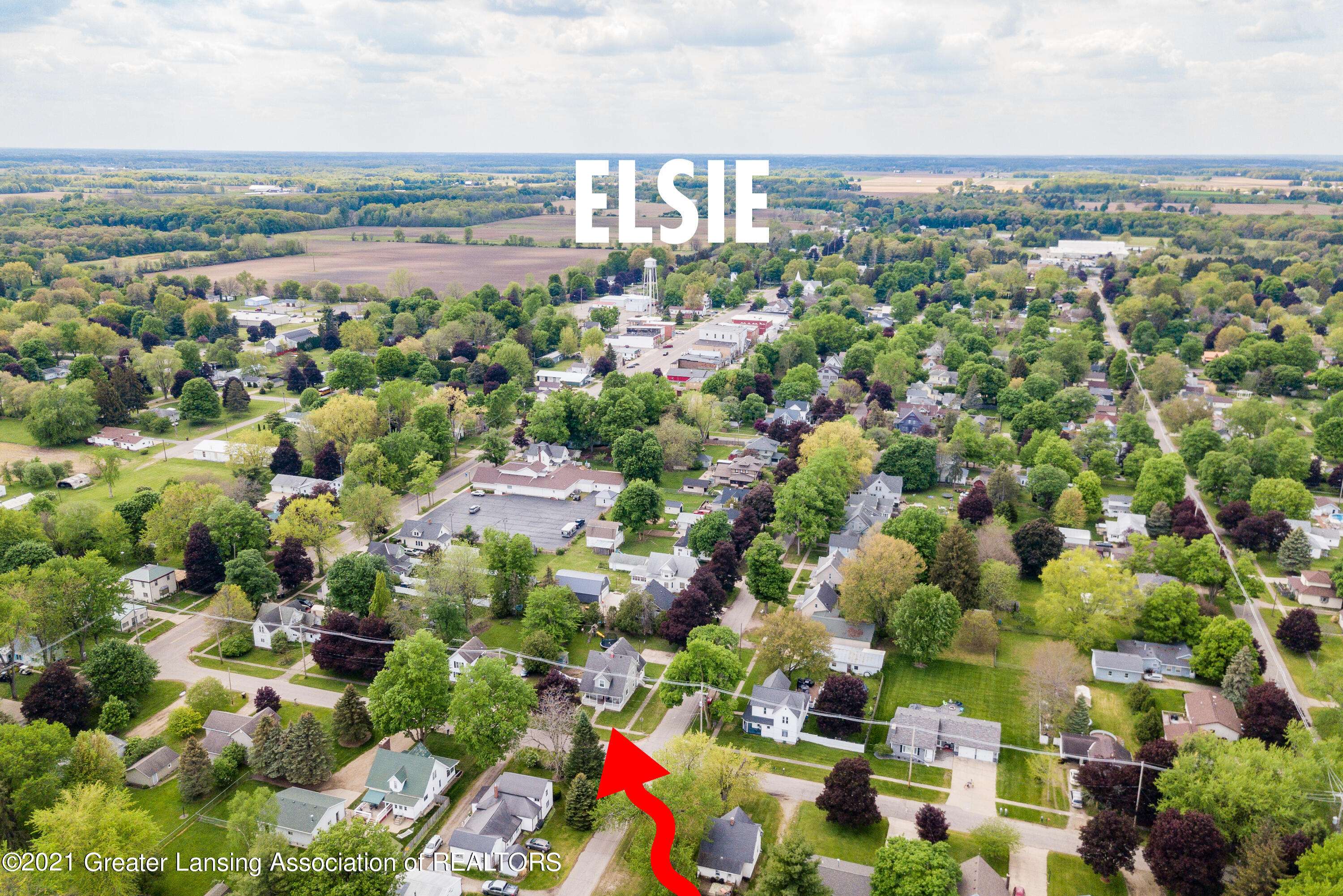 Elsie, MI 48831,133 N Second Street, Elsie, MI 48831